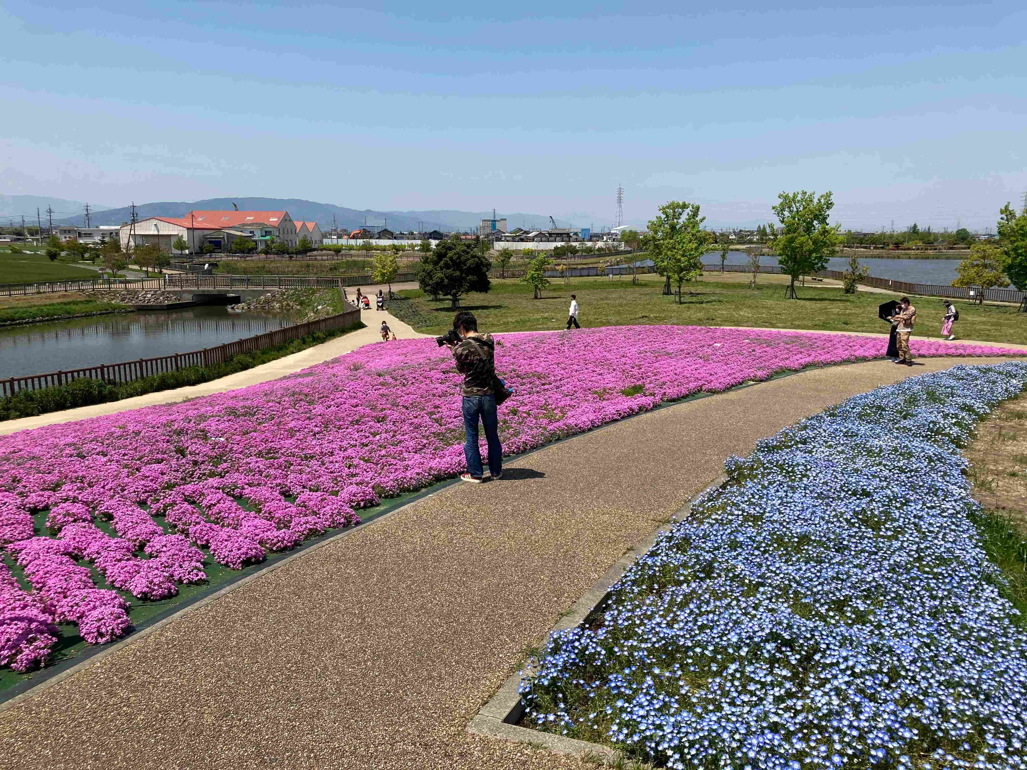 🌸 세 갈래 연못 공원 (미쓰마타이케 코엔) 이미지 1